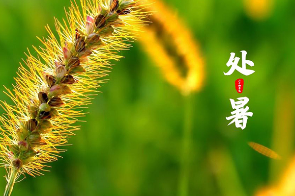 й̫0638(ɷ)޹˾-ٷվ